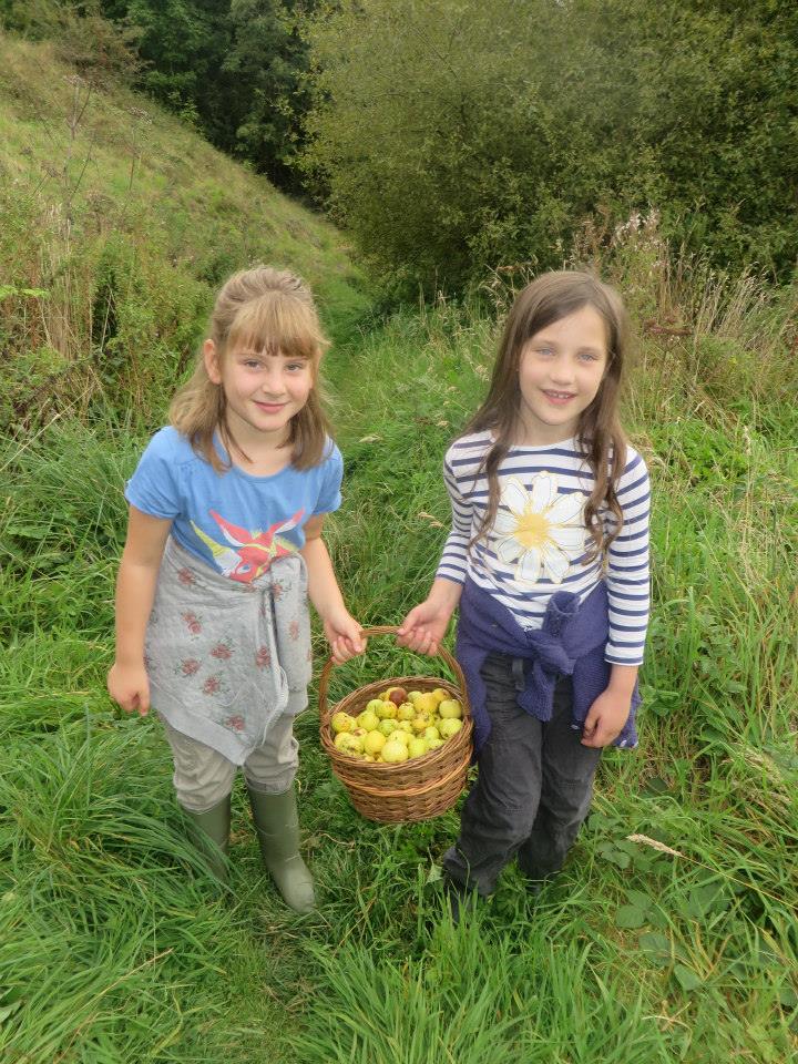 Collecting Crab Apples