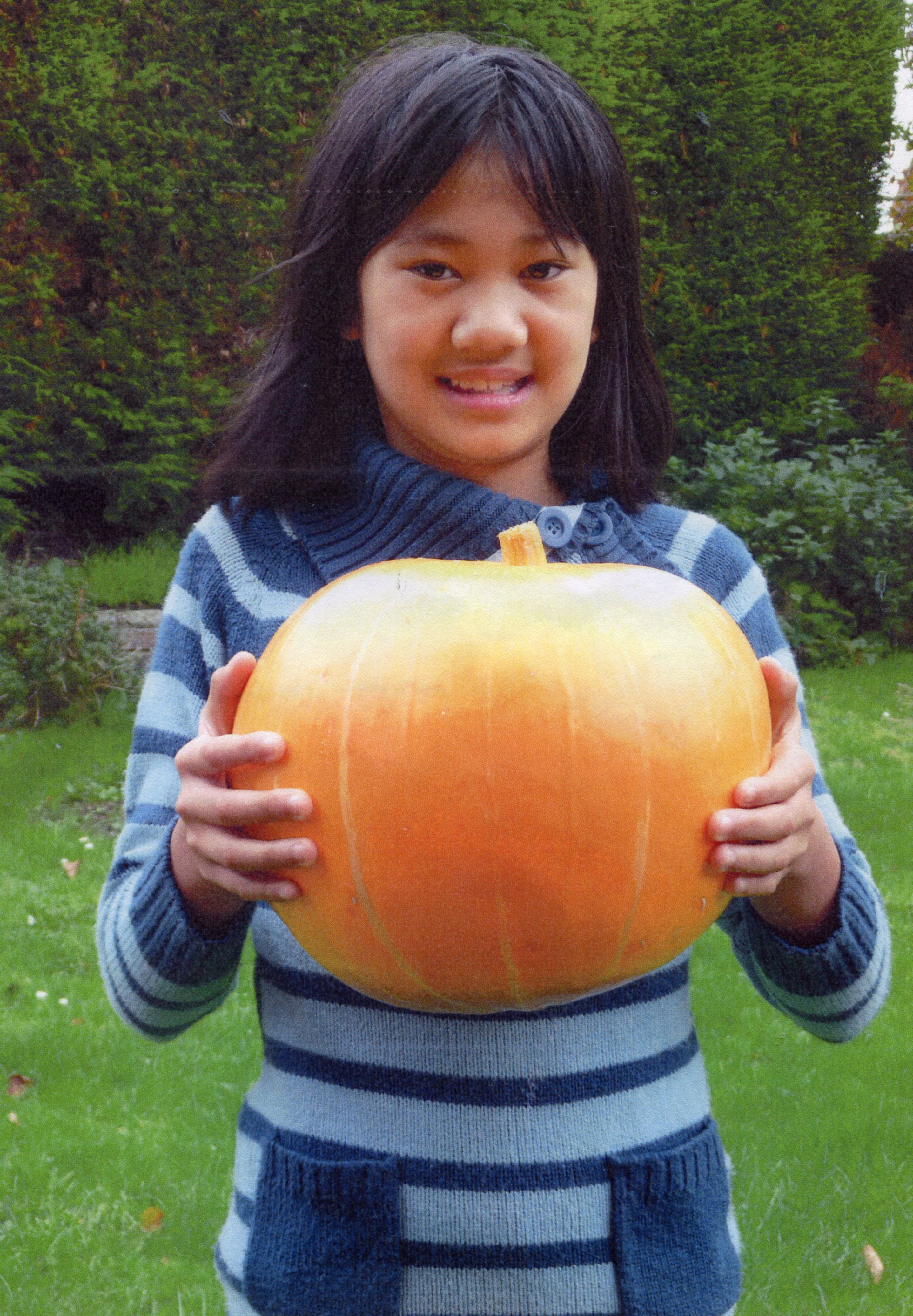 Giant Pumpkin