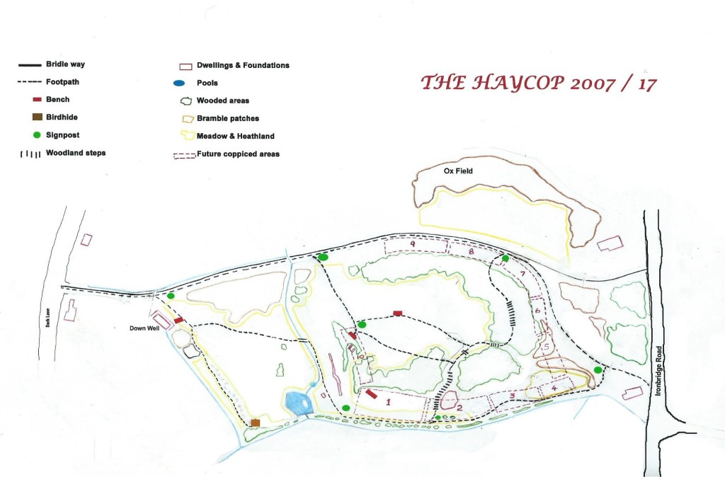 The Haycop site