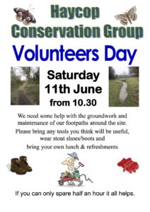 volunteers poster June 2016