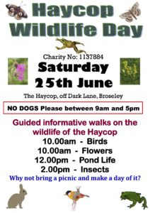 Wildlife Day poster 2016