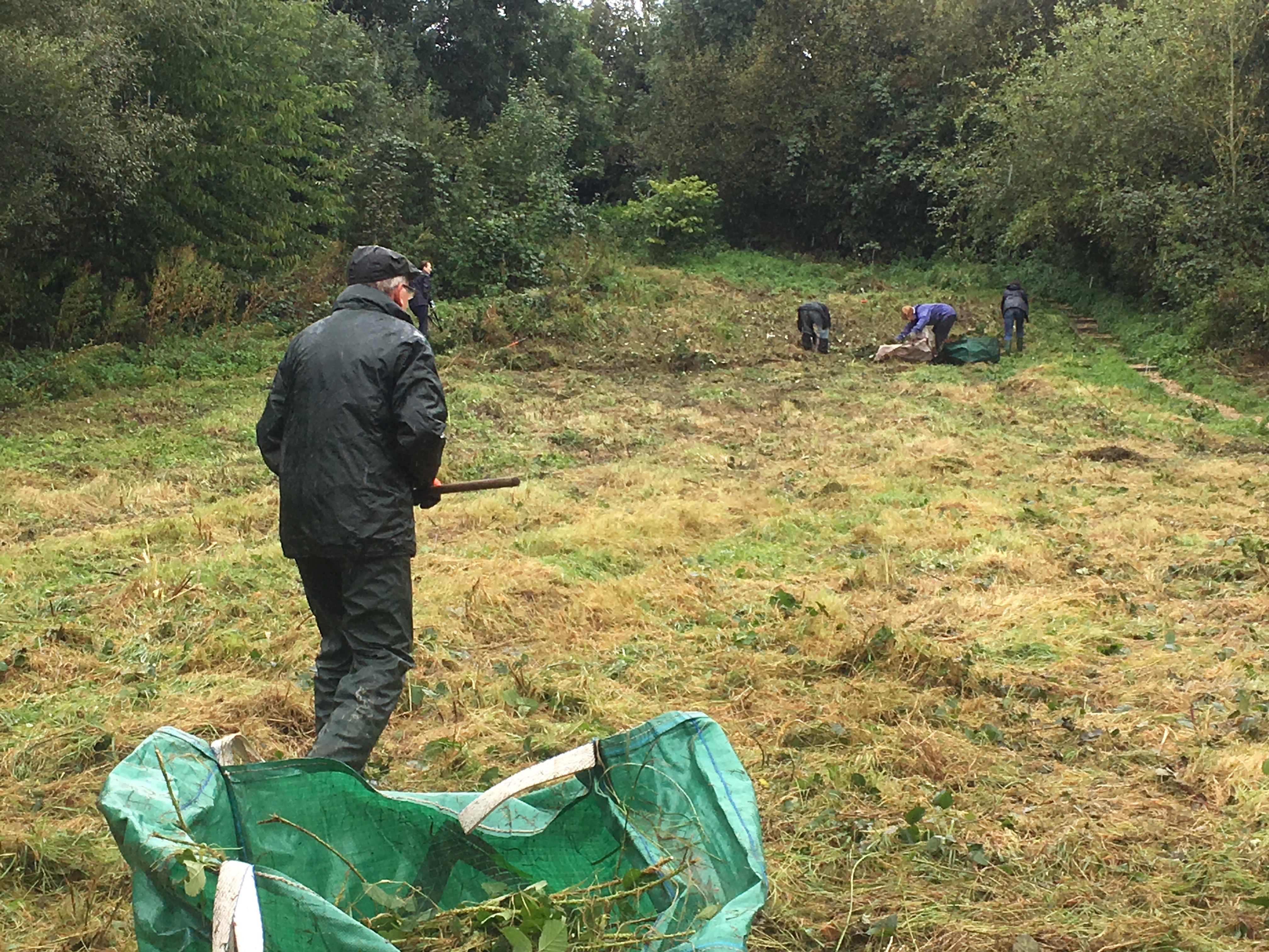 Clearing up the Meadow Cut 1st October 2016