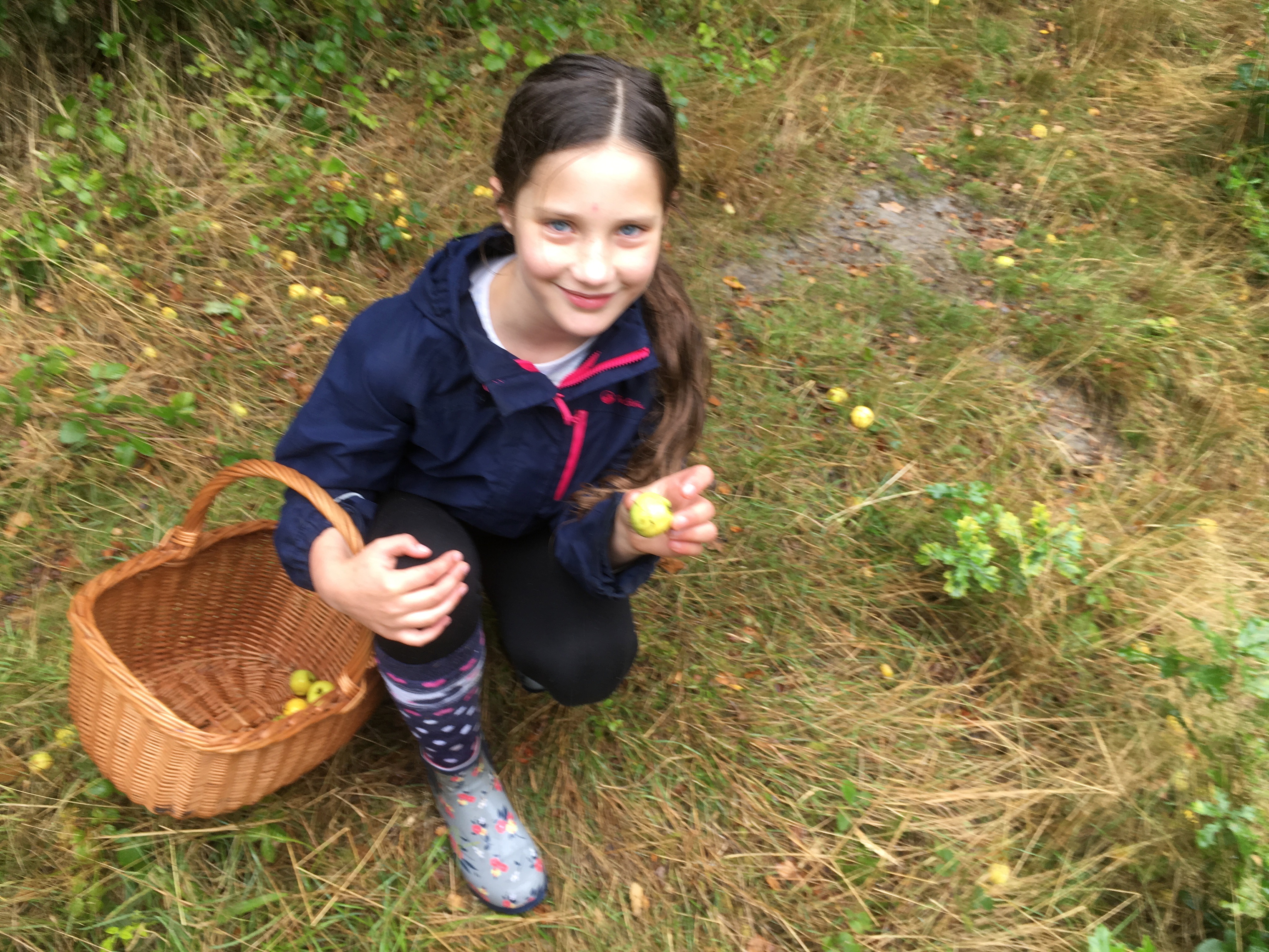 Eleanor collecting crab apples