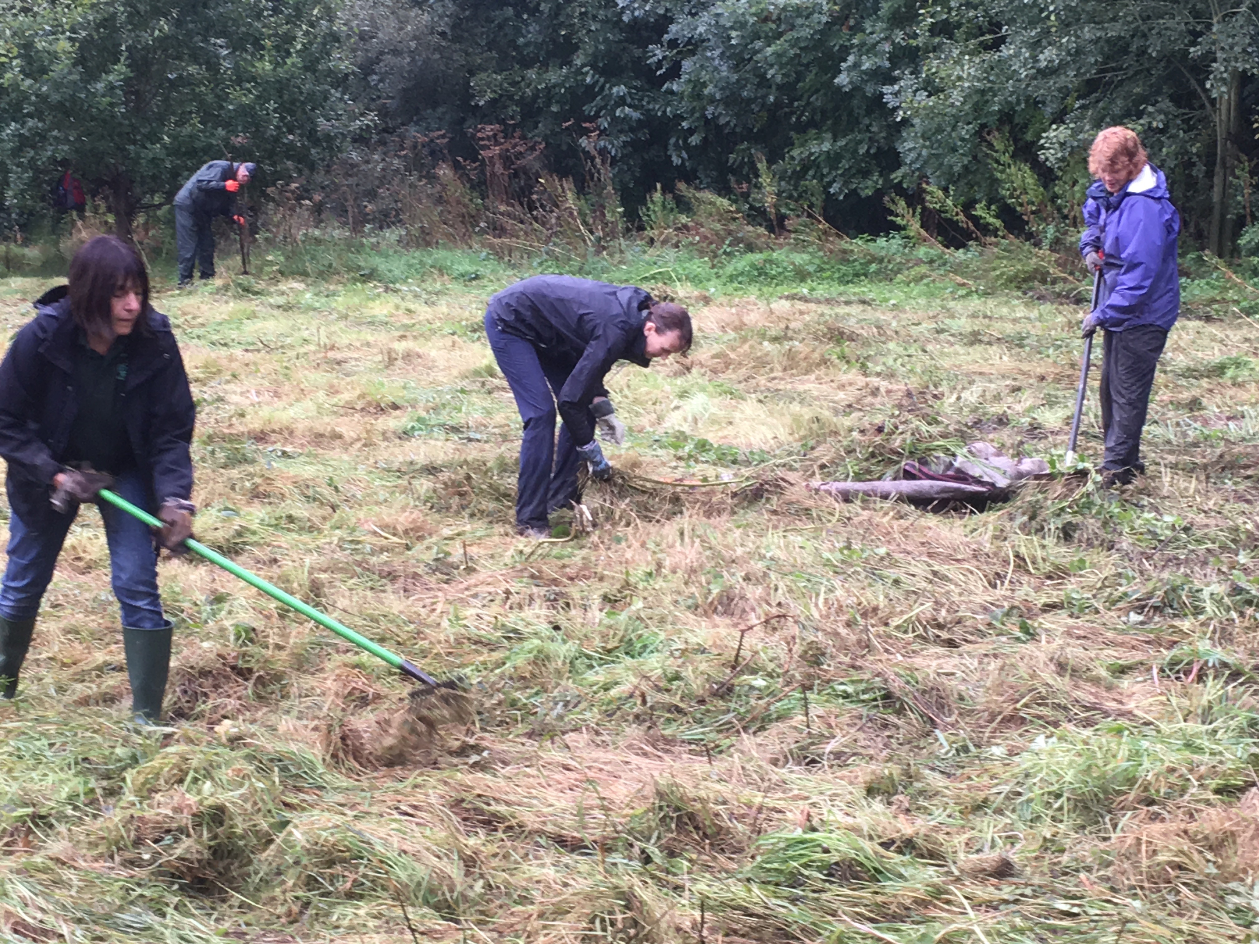 Volunteers working hard 