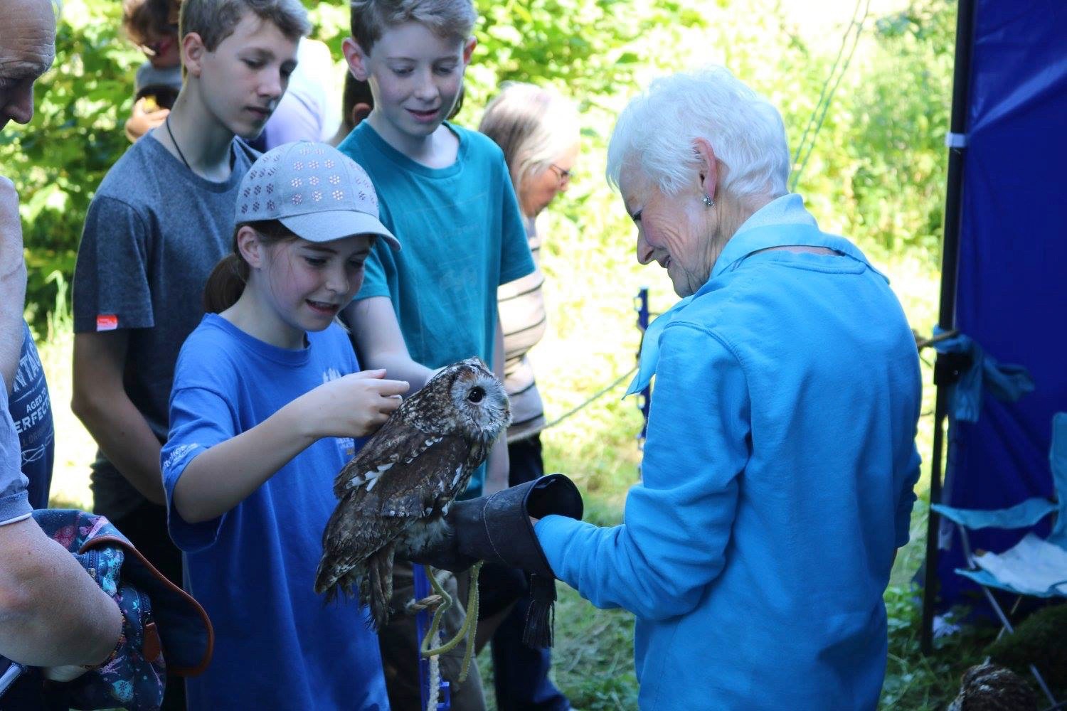 The public interact with Chelmarsh Owls