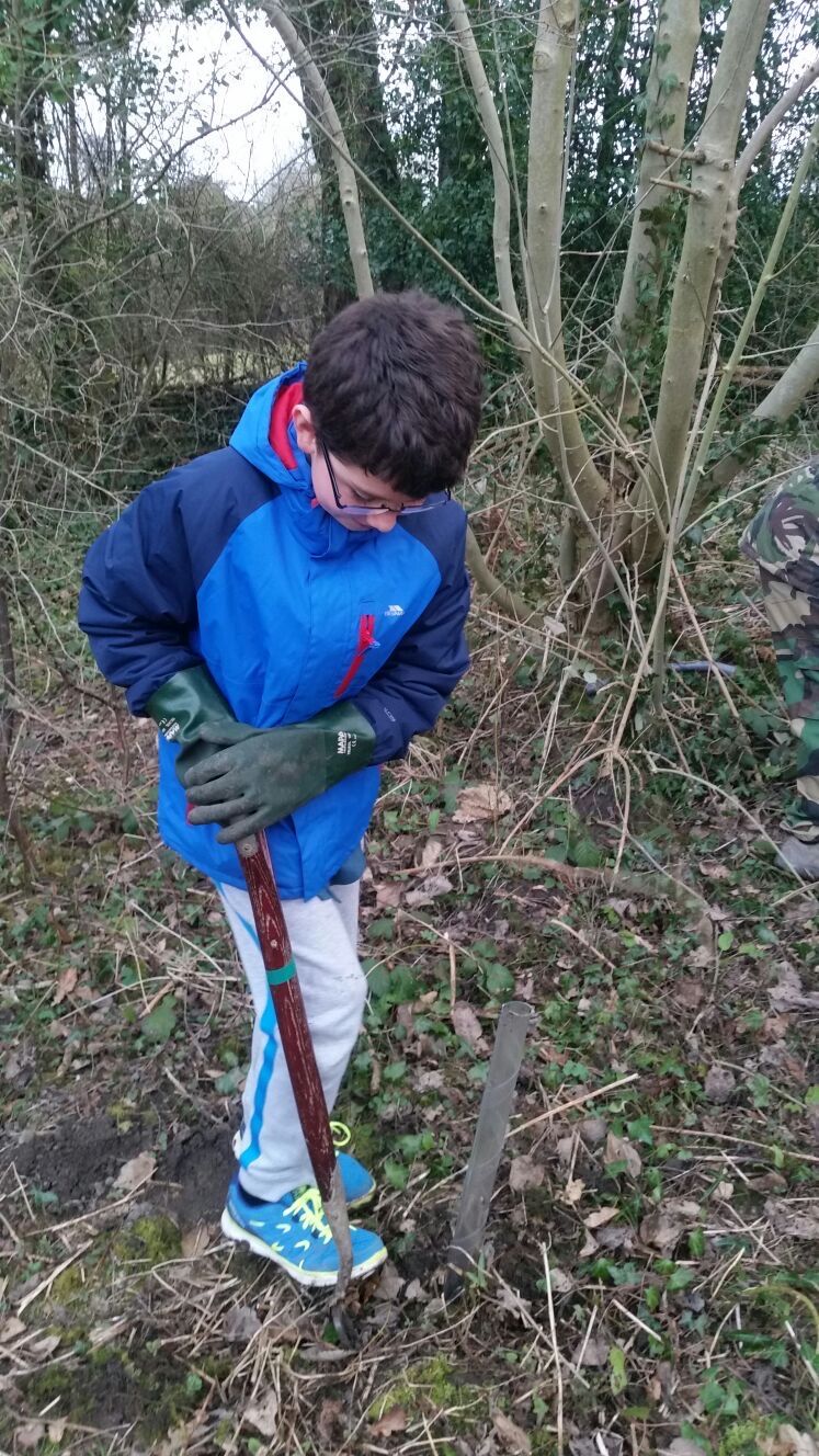 Scouts Tree Planting