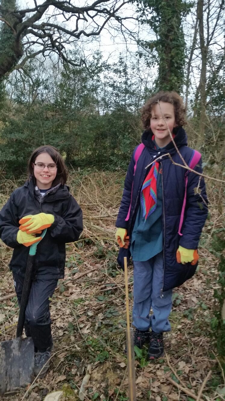 Scouts Planting Trees