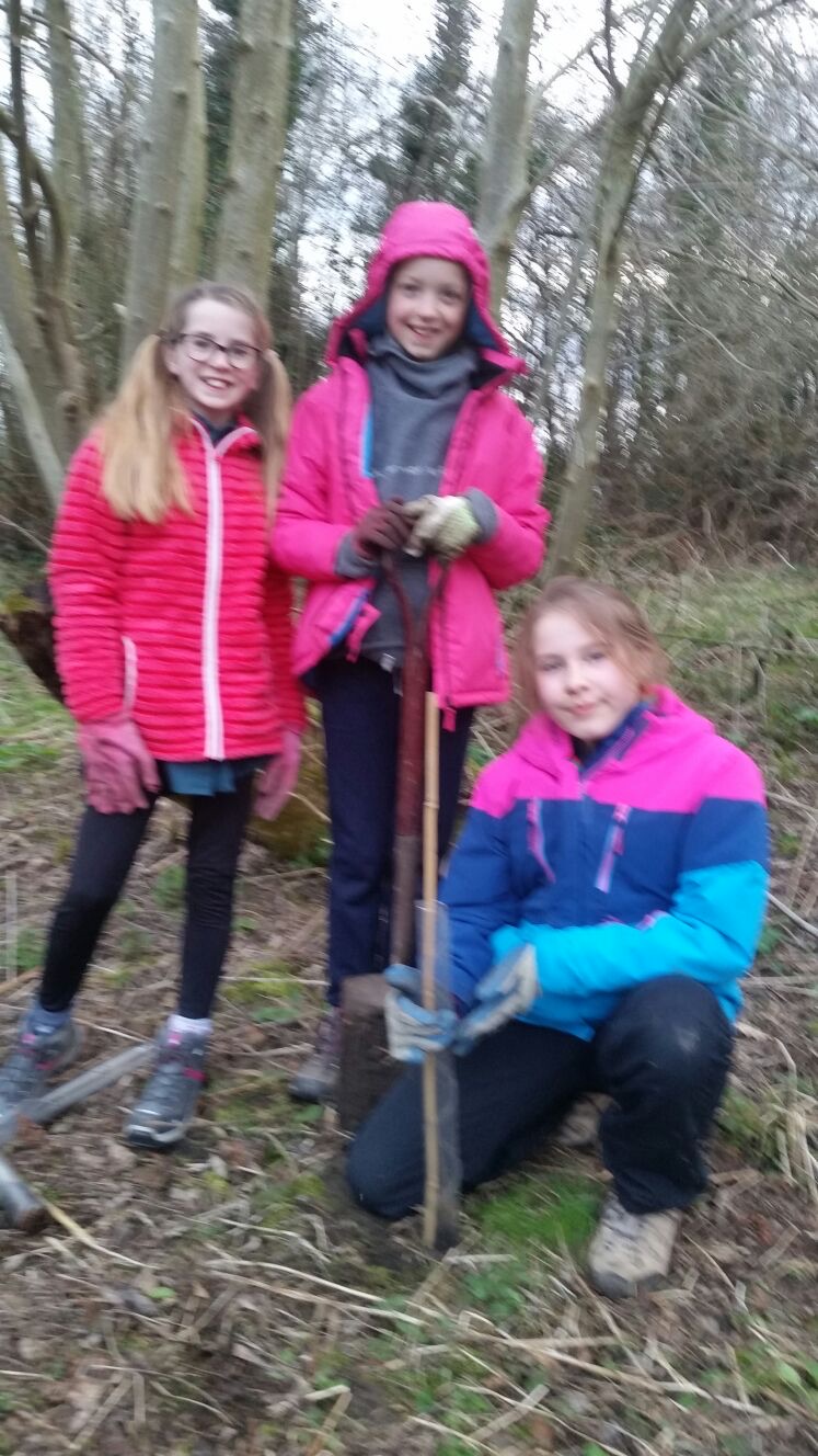 Scouts Planting Trees