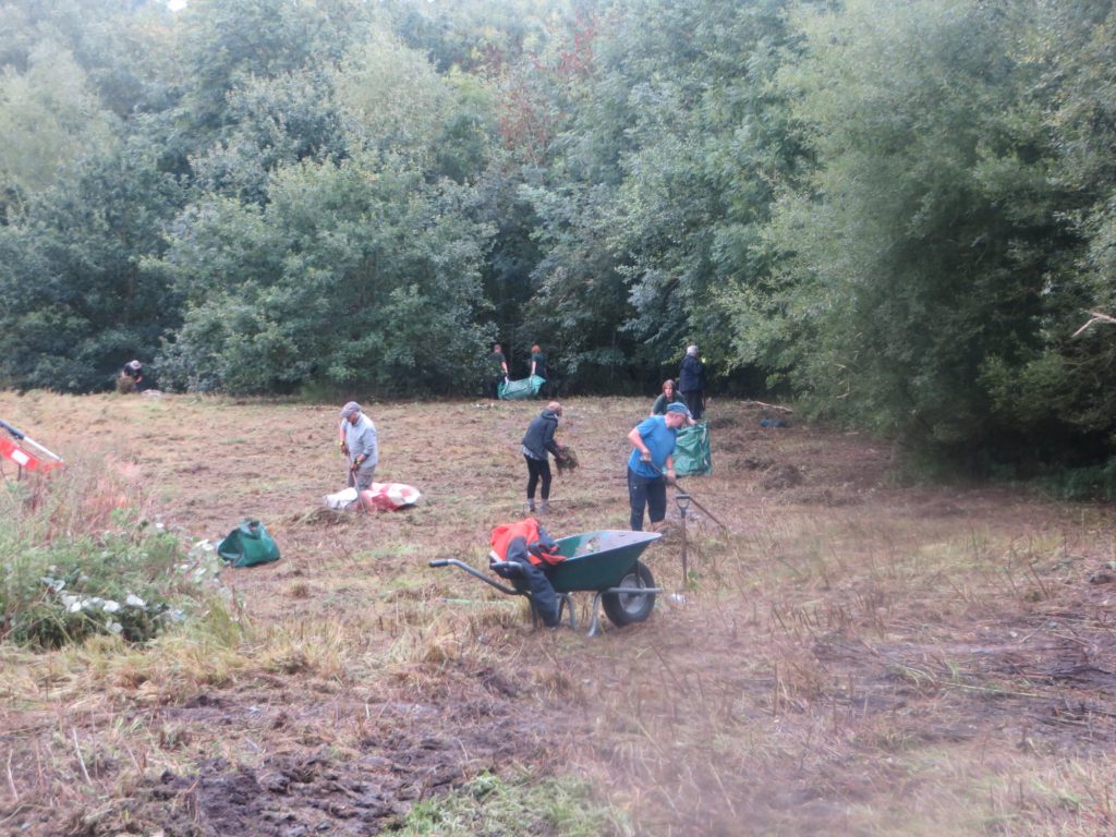 Raking up the meadow cut