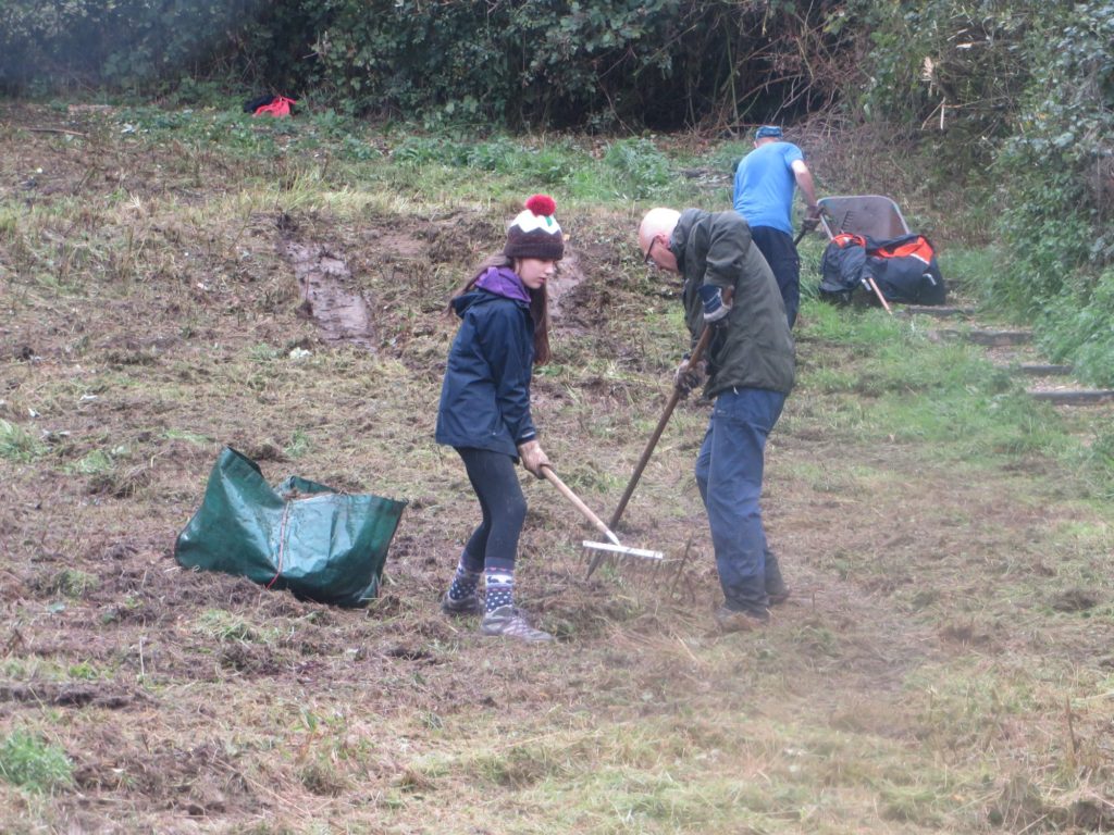 Raking up the meadow cut