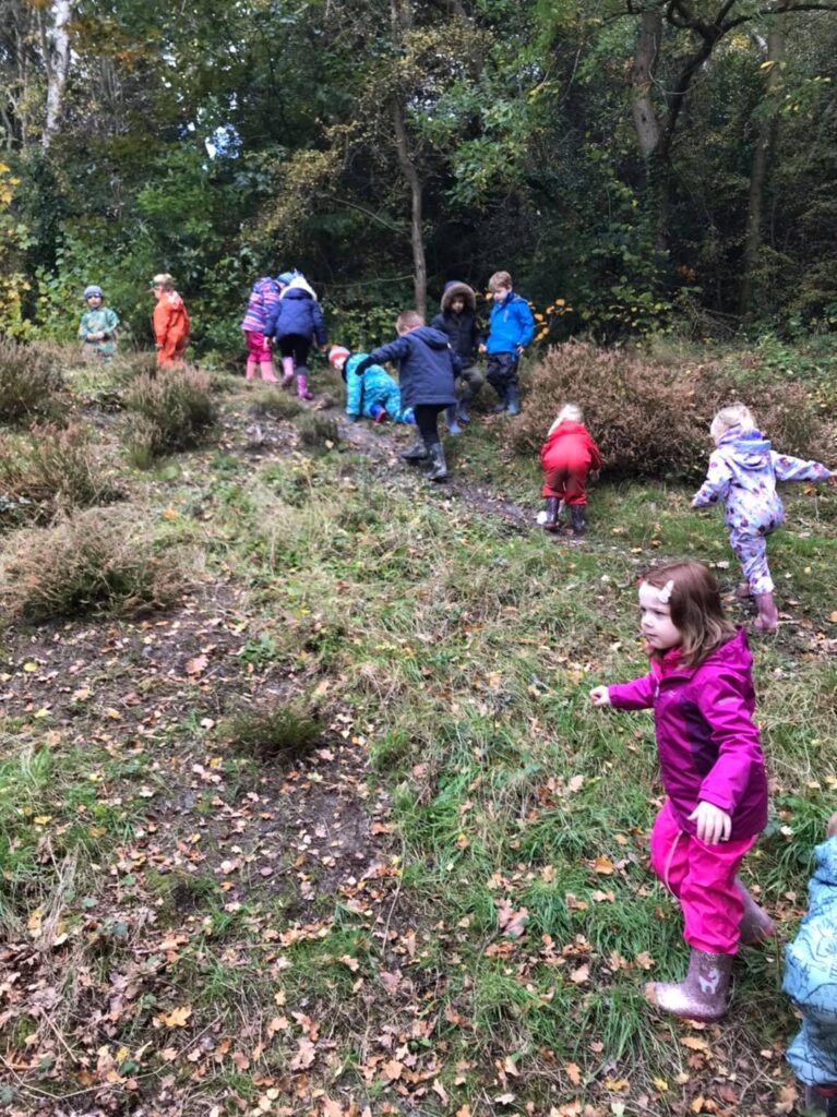 The children explore the heather patch