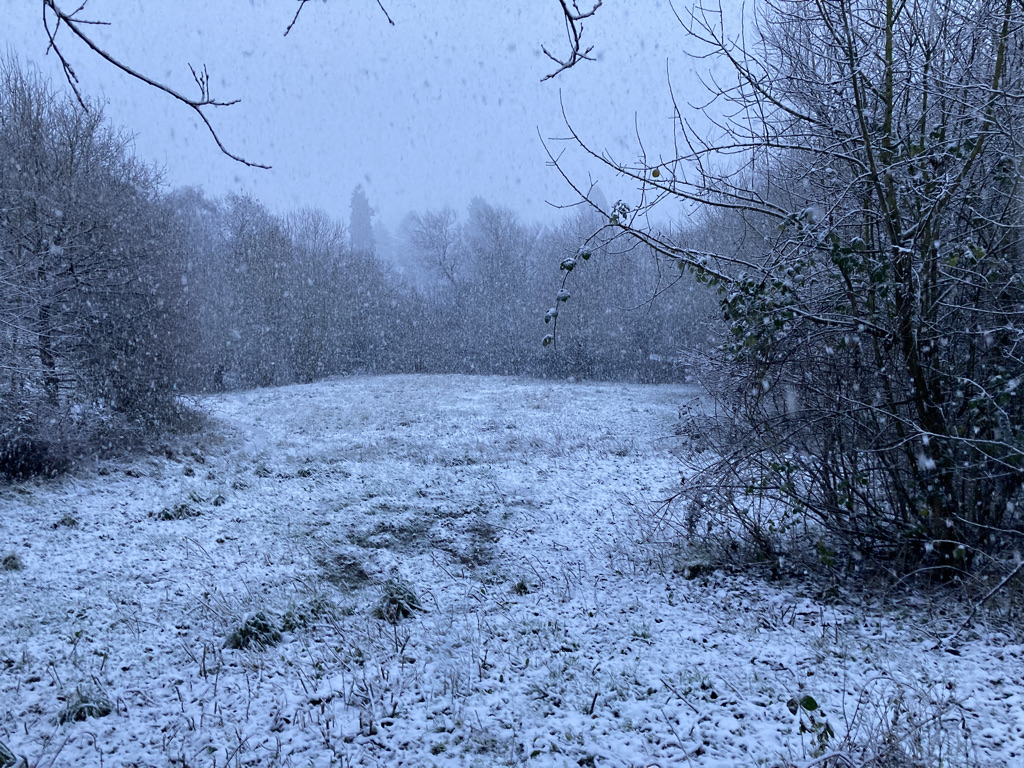 The Meadow from the Down Well