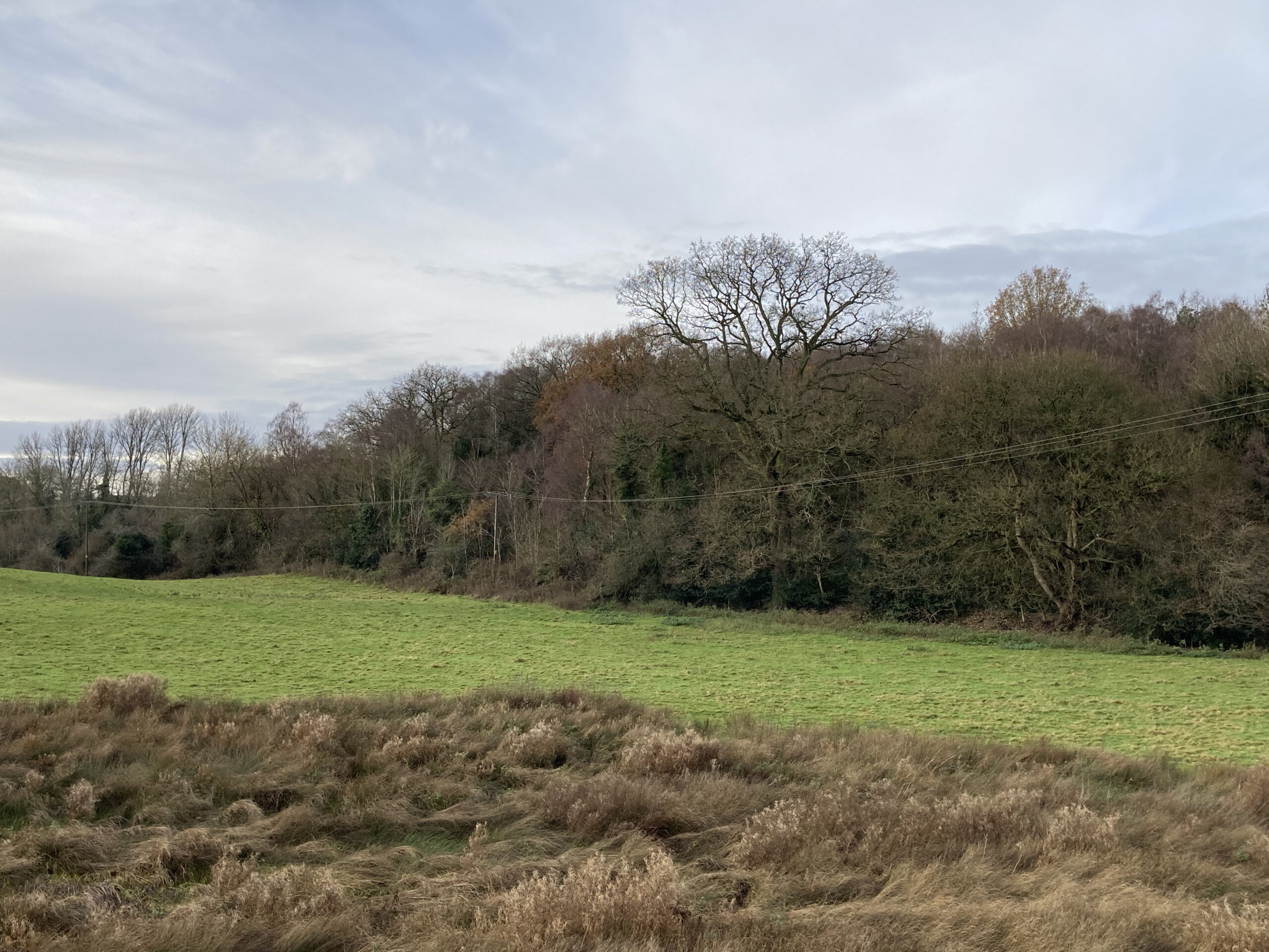 The Haycop from Ironbridge Road