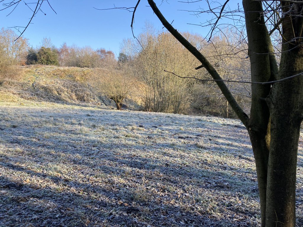 The South Bank from the Meadow