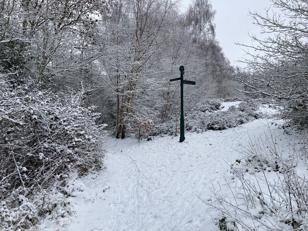 Signpost on the Bridle Way