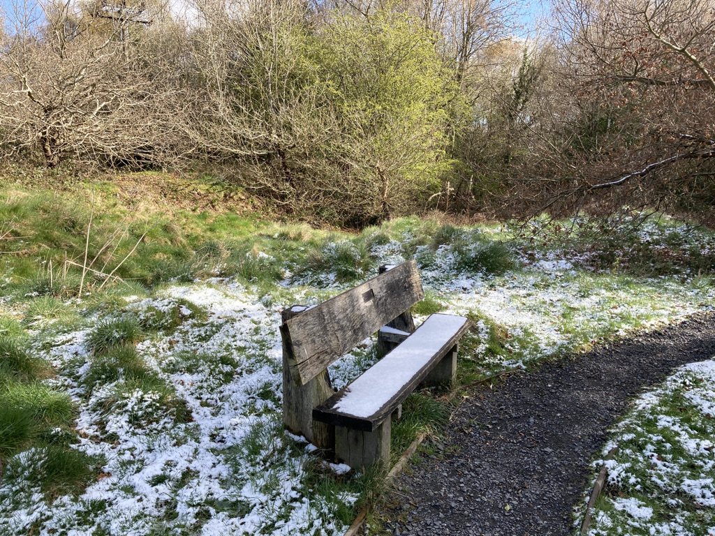 Snow on the Heath