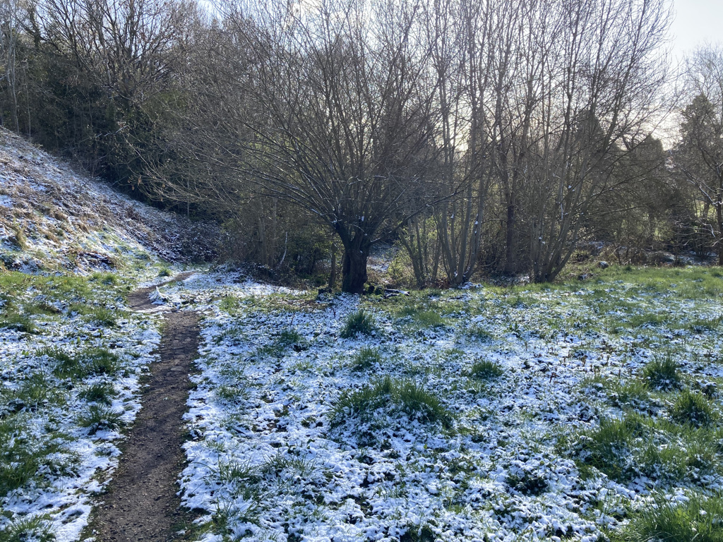 Snow at the bottom of the Meadow