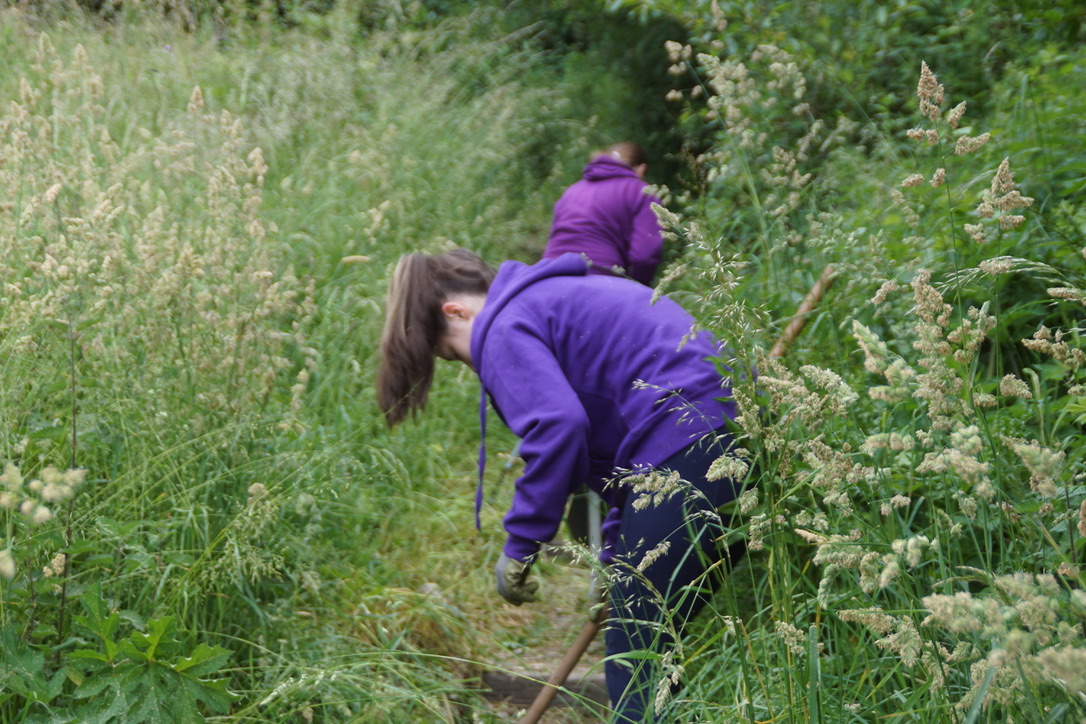 DoE Volunteers Weeding the Path