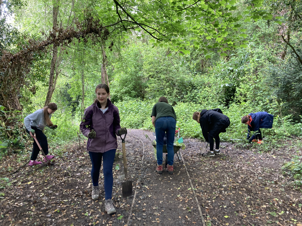 DoE Volunteers planting Trees