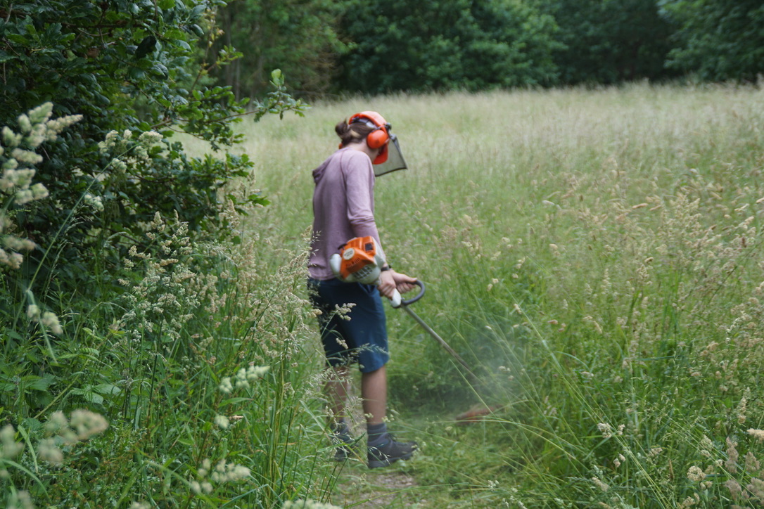 DoE Volunteer Striming 