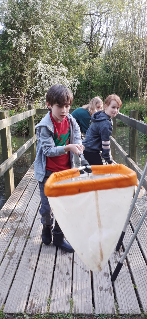 1st Broseley Cubs Pond Dipping