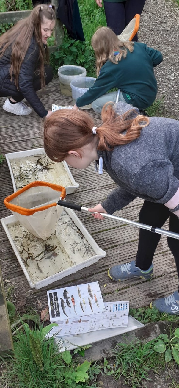 1st Broseley Cubs Pond Dipping