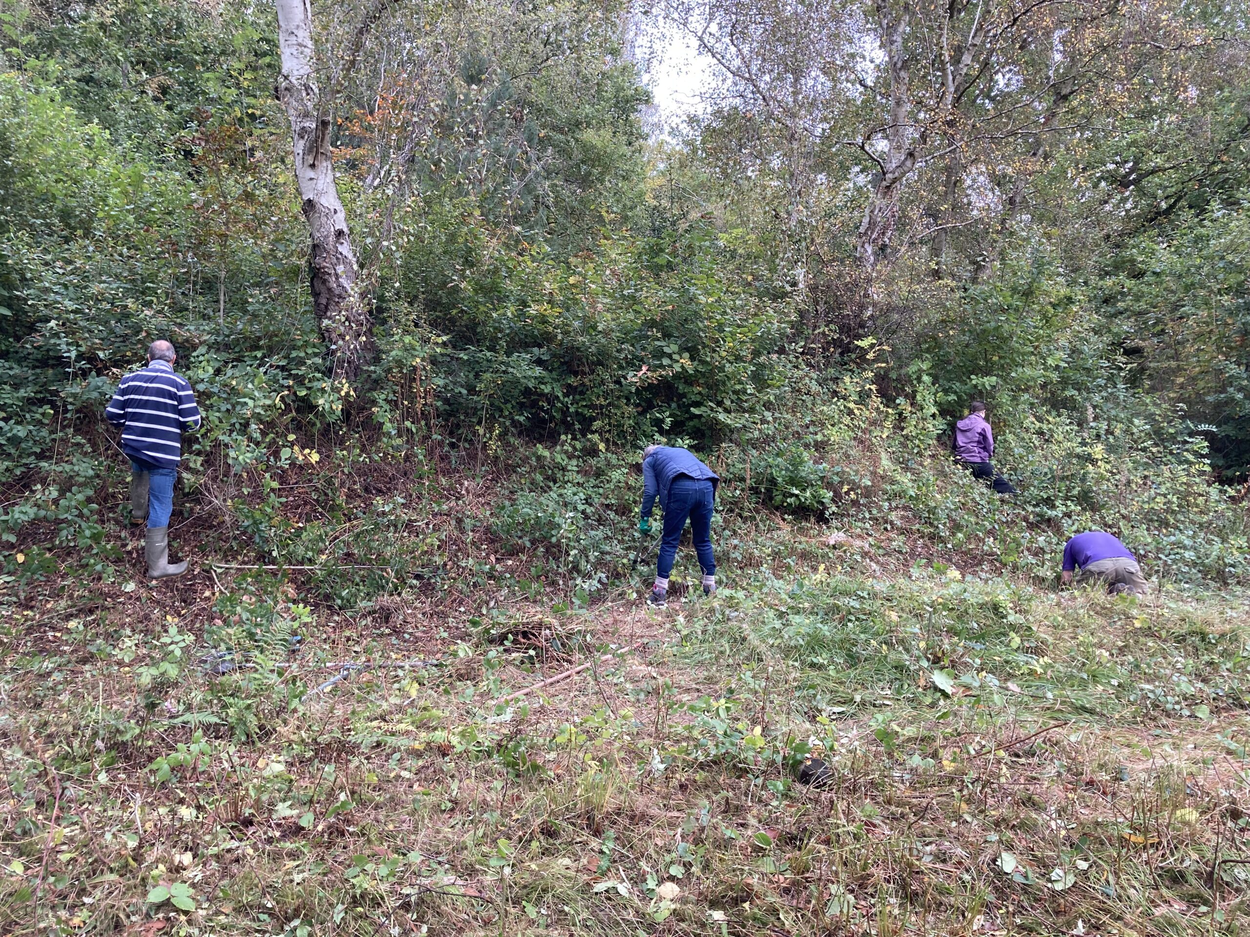 Volunteers working on the Haycop 23 October 