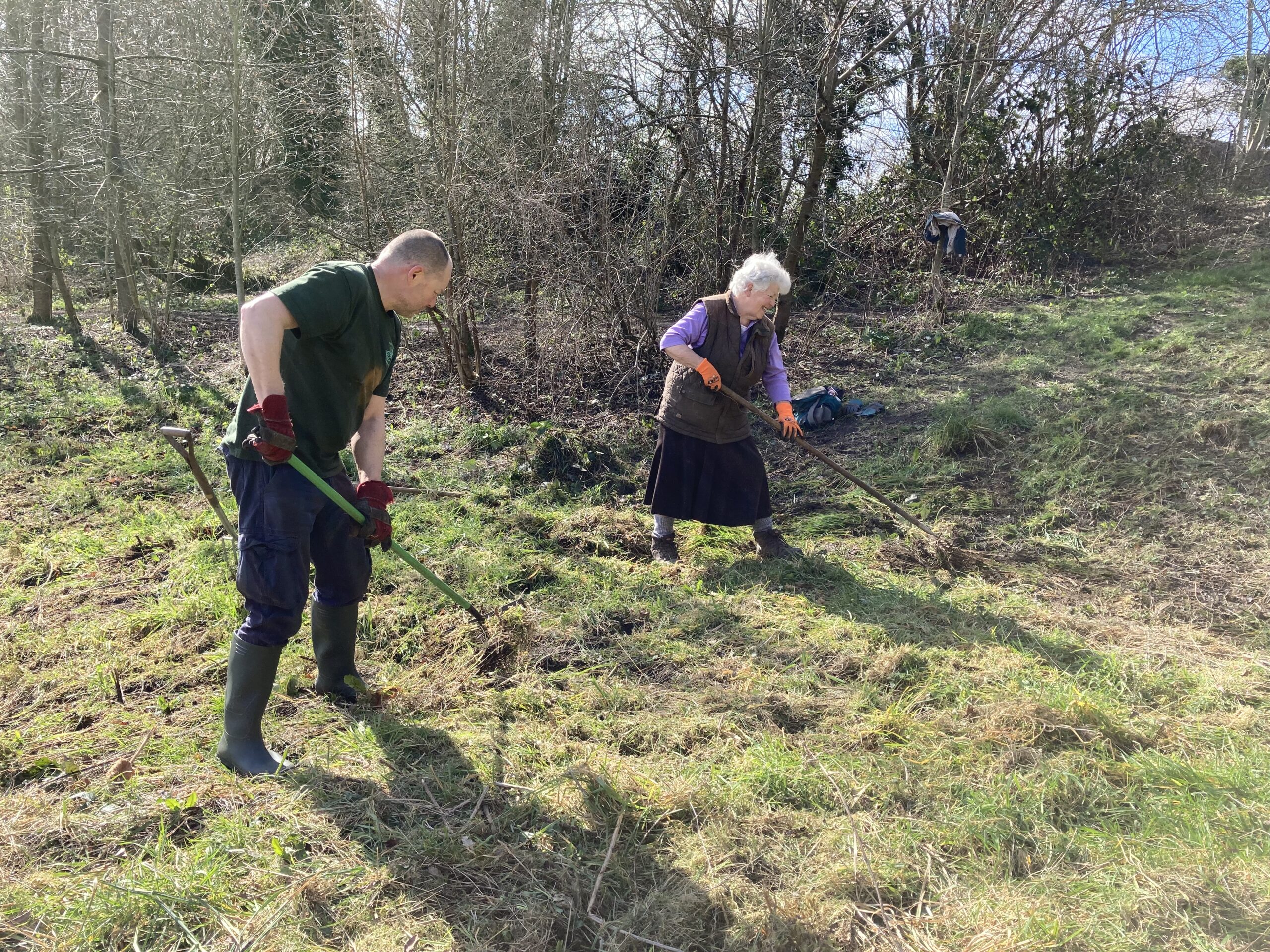 Working on the Meadow